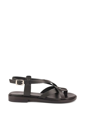 FRAU leather thong sandals - Black