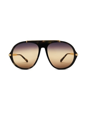 Chloe Aly Round Sunglasses in Havana & Yellow - Black,Metallic Gold. Size all.