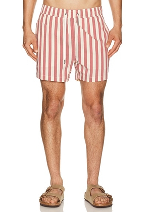 Onia Charles 4 Swim Trunk in Berry & Cream - Cream. Size L (also in M, S, XL/1X).