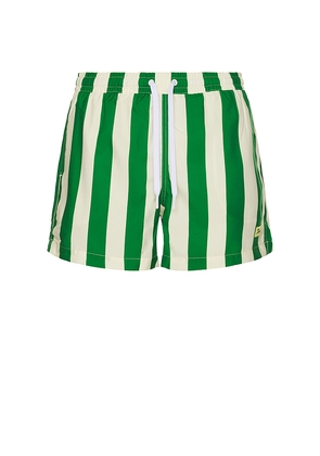 Duvin Design Traveler Swim Shorts in Green. Size S. Also in L, M, XL/1X.