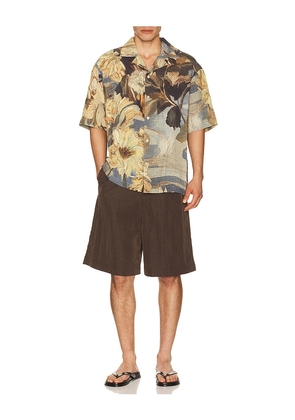 Cult Gaia Ros Shirt in Neutral. Size S. Also in L, M, XL/1X.