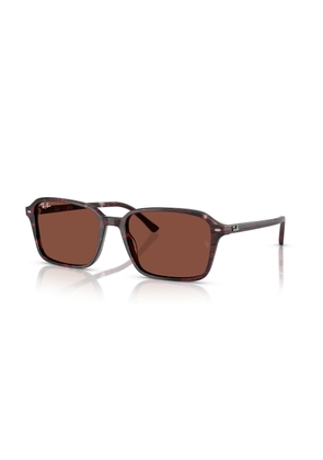 Ray Ban Raimond Red Rectangular Unisex Sunglasses RB2231 1416C5 56