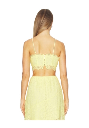 CAMI NYC Sofie Lace Cropped Camisole in Yellow. Size 2. Also in 4, 6, 8, 10, 12.