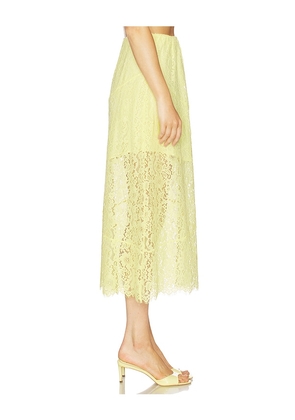 CAMI NYC Effie Lace Midi Skirt in Yellow. Size XS. Also in M.