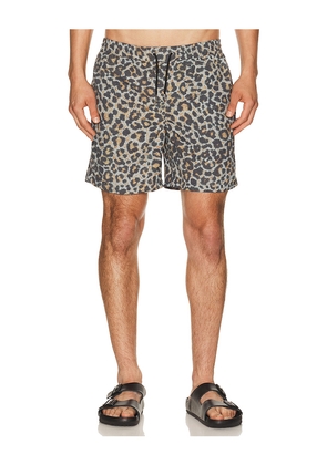 ALLSAINTS Silesia Swimshort in Grey. Size S. Also in L, M, XL/1X.