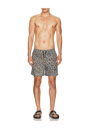 ALLSAINTS Silesia Swimshort in Grey. Size S. Also in M, L, XL/1X.