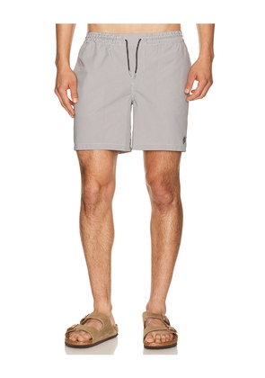ALLSAINTS Ciper Stripe Swimshort in White. Size S. Also in L, M, XL/1X.