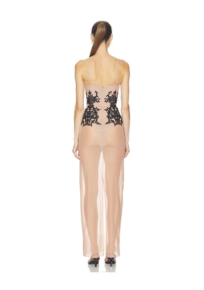 HAELO Wing Lace Corset Dress in Blush. Size S. Also in XXS, M, L, XS.