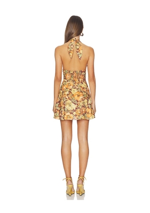 FAITHFULL Bianca Mini Dress in Orange. Size S. Also in XS, M, L, XL.