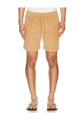 Faherty Essential Corduroy Shorts in Brown. Size S. Also in L, M, XL/1X.