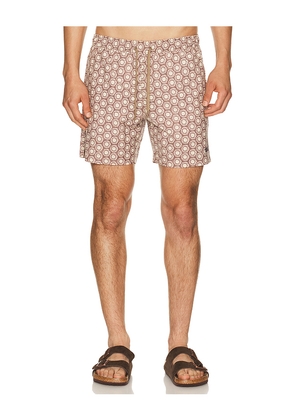 Faherty All Day 6 Swimtrunks in Brown. Size S. Also in L, M, XL/1X.