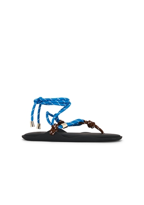 FlÃ²wze FlÃ² Twin Sandal in Blue. Size 36. Also in 37, 38, 39, 40, 41.