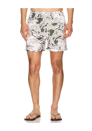 OAS Rogue Swim Shorts in Cream. Size S. Also in L, M, XL/1X.