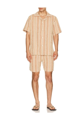 OAS Lano Porto Shorts in Beige. Size S. Also in M, L, XL/1X.