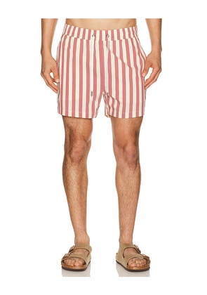 onia Charles 4 Swim Trunk in Cream. Size S. Also in L, M, XL/1X.