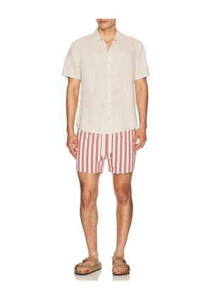 onia Charles 4 Swim Trunk in Cream. Size S. Also in M, L, XL/1X.