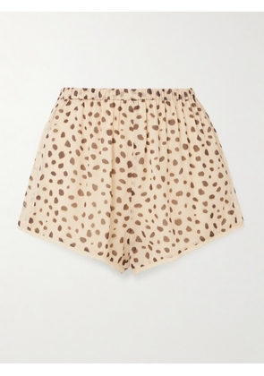 Posse - Priscilla Lace-trimmed Cheetah-print Silk-georgette Shorts - Brown - xx small,x small,small,medium,large,x large,xx large