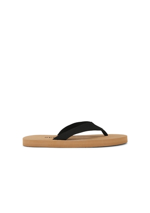 SENSO Kenny Flip Flop in Beige,Black. Size 37. Also in 35, 38, 39, 40, 41.