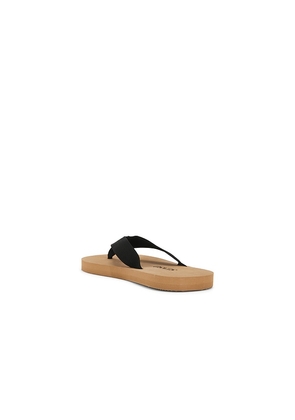 SENSO Kenny Flip Flop in Beige,Black. Size 37. Also in 38, 39, 40, 41.