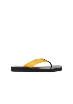 SENSO Xylon Flip Flop in Yellow. Size 37. Also in 35, 36, 38, 39, 40, 41.