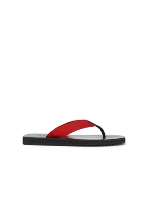 SENSO Xylon Flip Flop in Red. Size 37. Also in 35, 36, 38, 39, 41.