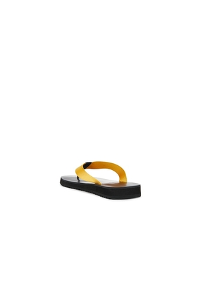 SENSO Xylon Flip Flop in Yellow. Size 37. Also in 35, 36, 38, 39.