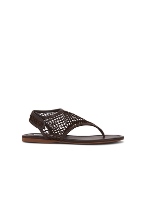 SENSO Nika Sandal in Chocolate in Chocolate. Size 37. Also in 38, 39, 40, 41.