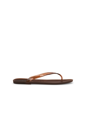 SENSO Megan Flip Flop in Brown. Size 37. Also in 35, 36, 38, 39, 40, 41.