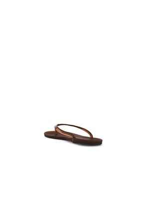 SENSO Megan Flip Flop in Brown. Size 37. Also in 35, 38, 39, 41.