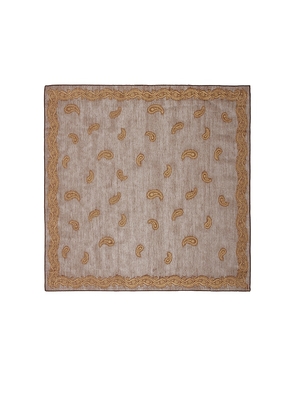petit moments Everly Scarf in Brown.