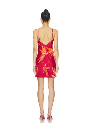 ROCOCO SAND Bias Halter Mini Dress in Red. Size S. Also in XXS, XS, M, L, XL, XXL.