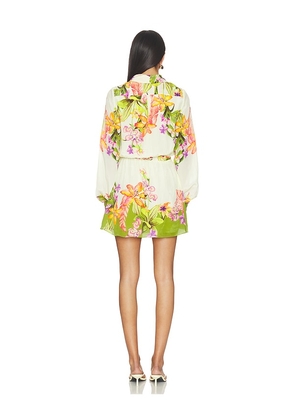 ROCOCO SAND Mini Dress With Detachable Belt in Cream. Size S. Also in XXS, XS, M, XXL.