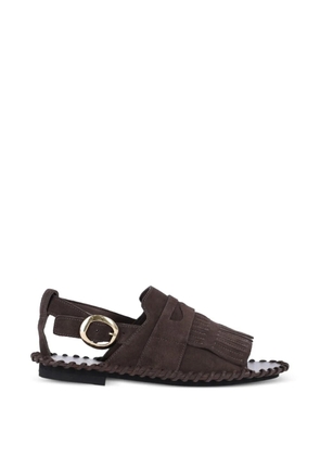 Alexander Hotto fringe-detail buckled sandals - Brown