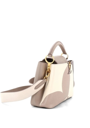 Louis Vuitton Pre-Owned Capucines Bag Monogram Giant Flower Leather BB shoulder bag - Neutrals