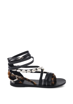 Ancient Greek Sandals Satira shell-embellished sandals - Black