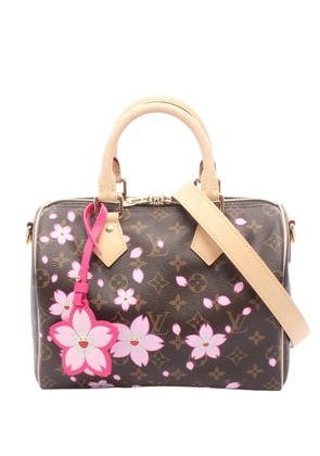 Louis Vuitton Pre-Owned 2010-2026 x Murakami Speedy Bandouliere 25 boston bag - Brown