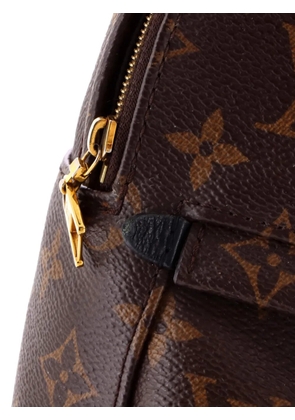 Louis Vuitton Pre-Owned Palm Springs Monogram Canvas Mini backpack - Brown