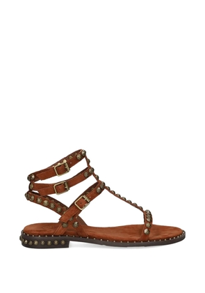 Ash Play stud-embellished sandals - Brown