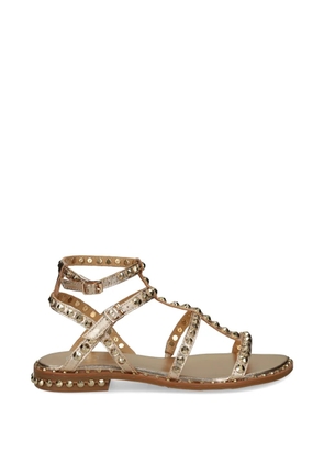 Ash Precious stud-embellished sandals - Gold