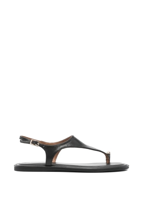TAMARIS toe-ring slingback sandals - Black