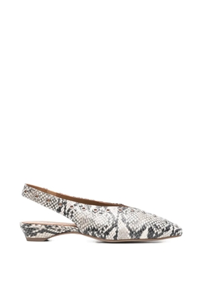 Pedro Miralles snake-effect eyelet-embellished ballet flats - White