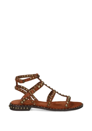 Ash Precious stud-embellished sandals - Brown