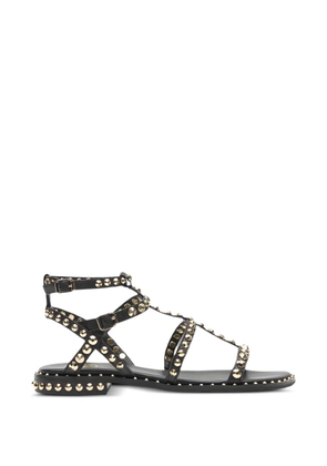 Ash stud-embellished sandals - Black