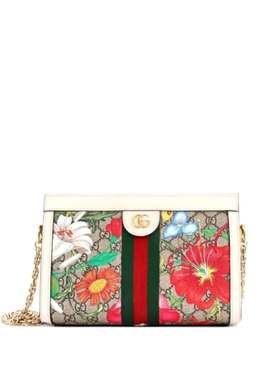 Gucci Pre-Owned Ophidia Chain Shoulder Bag Flora GG Coated Canvas Small crossbody bag - Brown