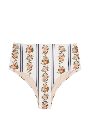 Agua By Agua Bendita floral-print striped bikini bottom - White