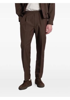 Greyed Ali pleated trousers - Brown