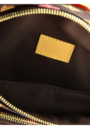 Louis Vuitton Pre-Owned Rush Bumbag Tyler the Creator Monogram Craggy Canvas belt bag - Brown