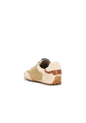 ALLSAINTS Liam Low Top Sneaker in Cream. Size 6. Also in 7, 7.5, 8, 8.5, 9, 11.