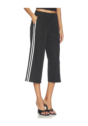 LIONESS Genesis Pant in Black. Size S. Also in L, M, XL, XS, XXS.