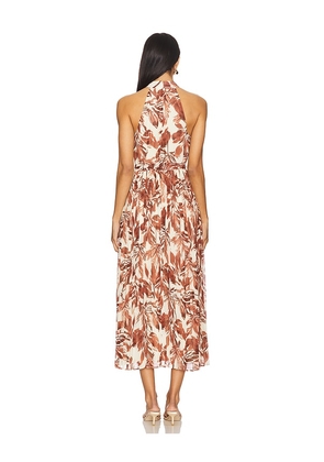 Steve Madden Rosemary Dress in Rust. Size 2. Also in 0.